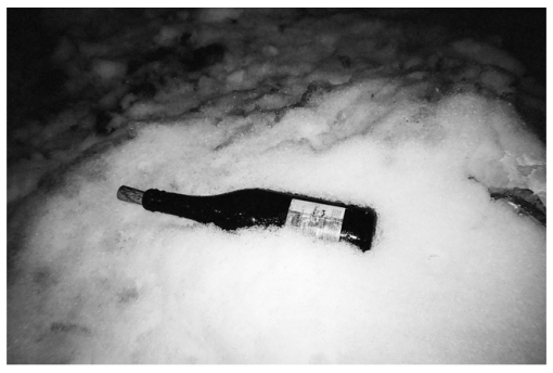 Chilled Wine, Snow, Clinton Hill mar14