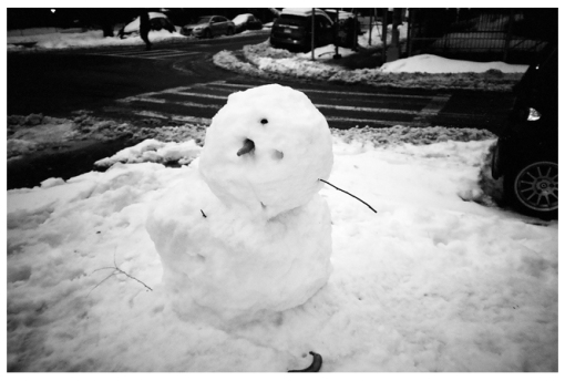 Snow man, clinton Hill, Mar14